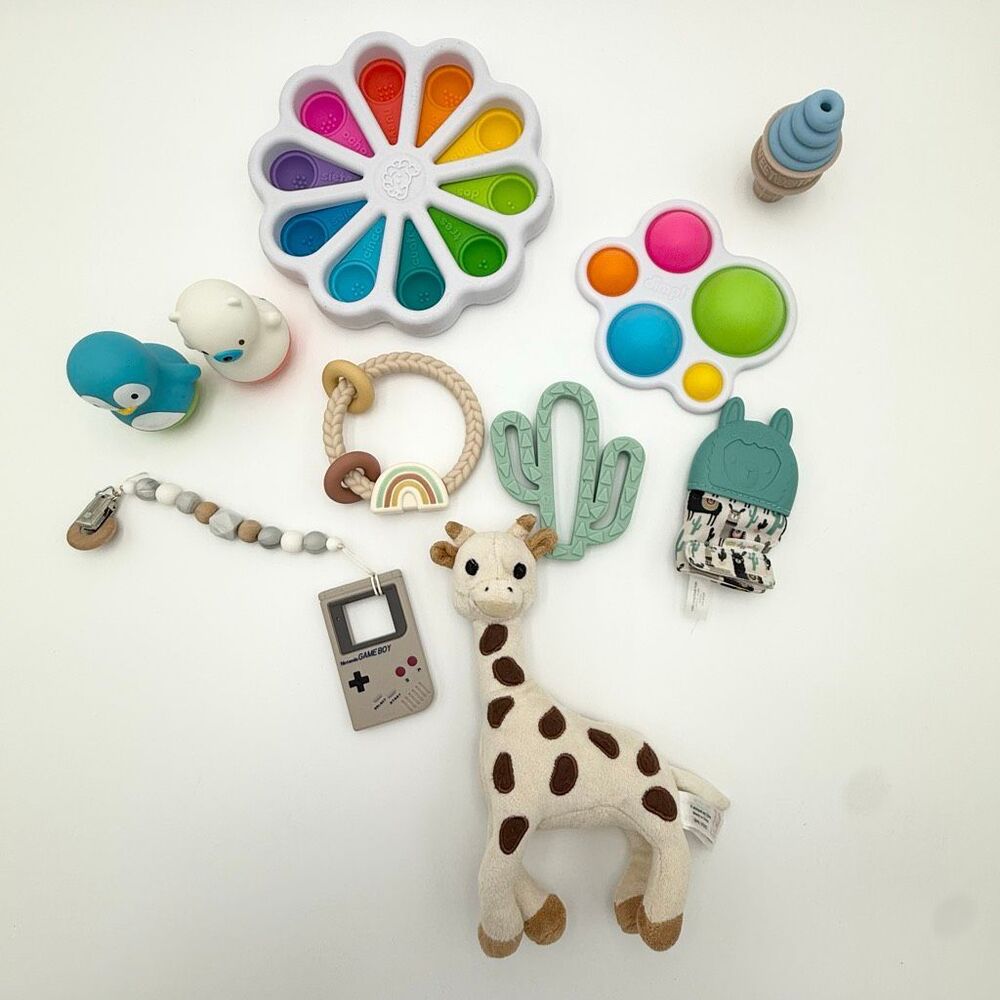 Fat Brain Toys Itzy Ritzy Sweetooth Vulli Lot of Infant Developmental Toys - All